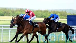 Isle Of Jura books Hardwicke ticket with Goodwood strike