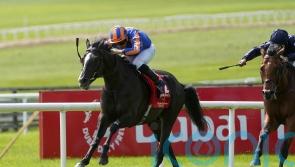 Comeback king Auguste Rodin on another recovery mission