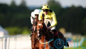 Ground will be a factor in plans for Royal Rhyme, says Burke