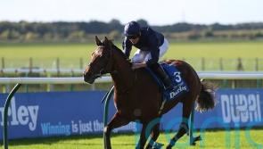 O’Brien: City Of Troy and Ylang Ylang all set for Epsom