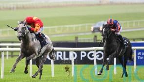 White Birch floors Auguste Rodin for Tattersalls gold at the Curragh