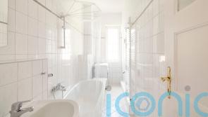 Expert hacks and tips for getting rid of mould