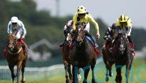 Inisherin all set to go for Commonwealth gold