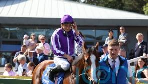 Diego Velazquez to spearhead O’Brien’s Chantilly challenge