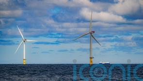 Wales should set up wealth fund with offshore wind farm profits &ndash; Plaid Cymru