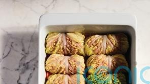 Benny Blanco’s cabbage rolls recipe
