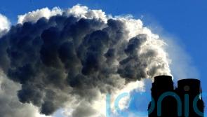 Swinney urged to reject proposals for new gas-burning power plant