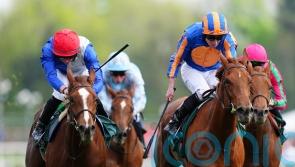 Forest Fairy leads Ralph Beckett’s four-pronged assault in Betfred Oaks