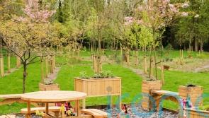 Projects to create green spaces for patients to receive share of £1m