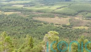 Photography project reveals scale of habitat restoration