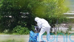 South Korea plans to nullify peace deal over North Korean manure balloons
