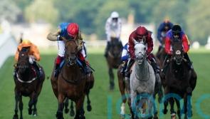 Gregory on course for Gold Cup bid at Ascot