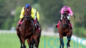Almaqam team yet to make Royal Ascot call