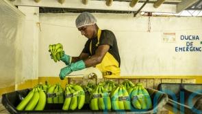 British shoppers&rsquo; support for Fairtrade holds strong as organisation turns 30