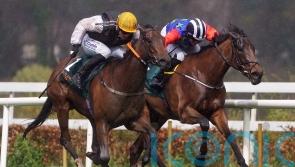 Murphy booked for Australia-bound Kitty Rose at Royal Ascot