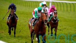 Wathnan splash the cash in search of more Royal Ascot glory