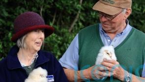 Co Down farmer celebrates after rare barn owls return to his land to raise brood