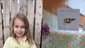 Girl goes viral after making motivational posters for bee to help it recover