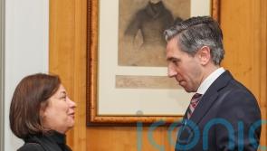 Palestinian ambassador formally received by Irish premier for first time