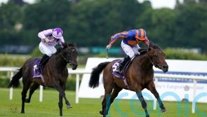 Portland in line for Royal Ascot after game Leopardstown win