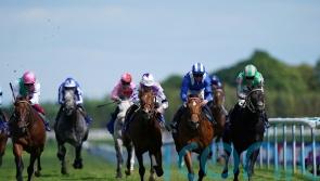 Pogo primed to go close in Haydock repeat bid