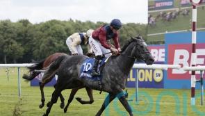 Tiber Flow bounces right back from York spill