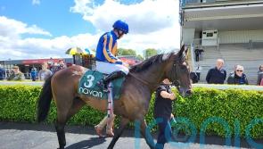 Celtic Chieftain puts his name into the Ascot mix for O’Brien