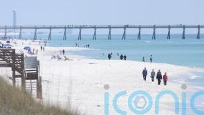 Florida authorities warn of shark dangers after three people are attacked