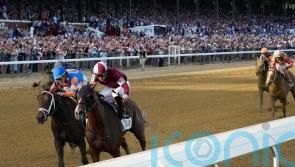 Unheralded Dornoch springs Belmont Stakes surprise