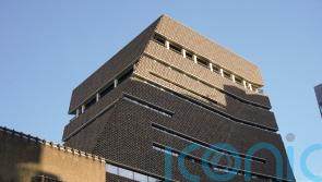 Boy thrown from Tate Modern balcony able to play by himself, family says