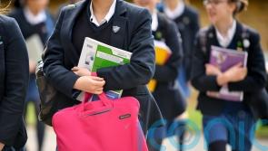 VAT on private schools may lead to ‘larger classes’ in state sector – Thornberry