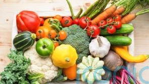 How to get your kids to eat more vegetables – and how to do it cheaply