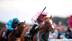 Sandown Charge still on the agenda for Live In The Dream