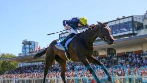 Fabre plotting repeat route with Mqse De Sevigne