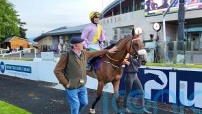 Heaven buyers aiming big – from Royal Ascot to Australia