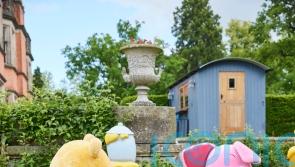 Make-A-Wish teenager meets and hugs favourite Disney characters