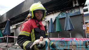 Fire at famous Thailand market kills hundreds of caged animals