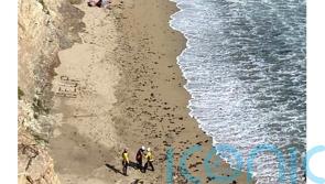 Kite surfer rescued from remote US beach after making ‘help’ sign with rocks