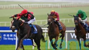 Rogue Millennium on course to defend Duke of Cambridge crown
