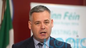Doherty leads condemnation of horse abuse following TV documentary