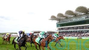 Woodhay Wonder bidding to plunder another big prize