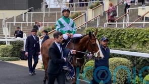 Millman hoping for Adaay to remember at Sandown
