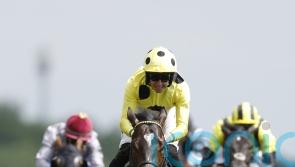 Inisherin joins cracking line-up for Commonwealth Cup