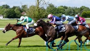 Adaay in the sun well deserved for teak-tough Millman filly