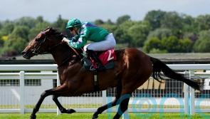 Prague could prove an incredible purchase for Cunha stable