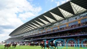 All looking set fare for Ascot on the ground front