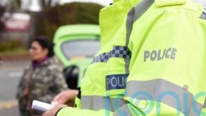 Man, 24, seriously injured in Aberavon dog attack