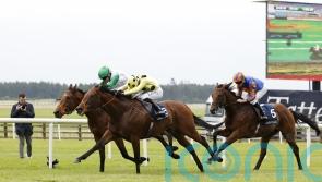 St James’s Palace poised to be crowning glory for clash of the Classic winners