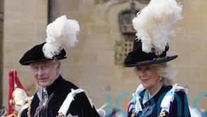 Charles and Camilla lead royal family at Order of the Garter celebrations