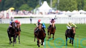 Rashabar hangs for victory in thrilling Coventry Stakes